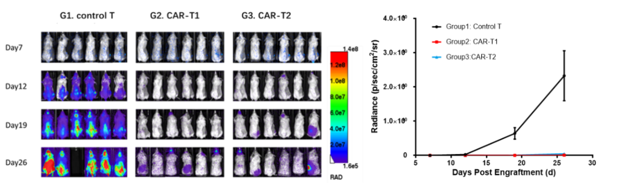 图片6.png 图片6.png