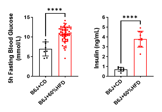 ͼƬ4.png